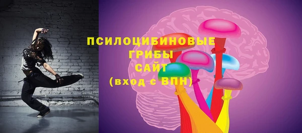 прущие грибы Баксан