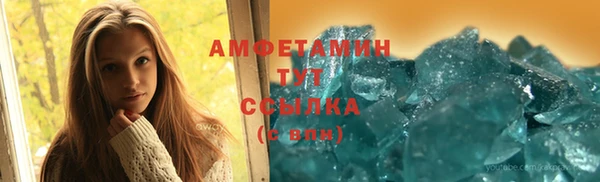 прущие грибы Баксан