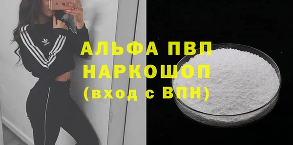 прущие грибы Баксан