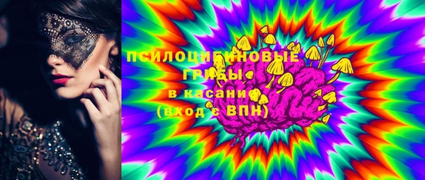 прущие грибы Баксан