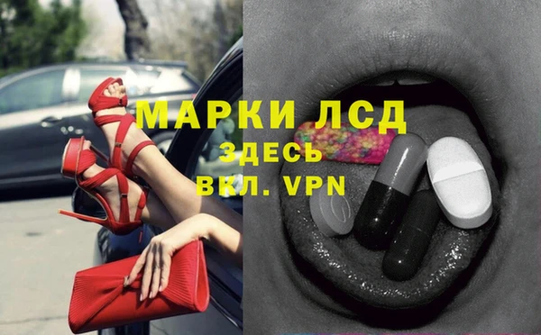 прущие грибы Баксан