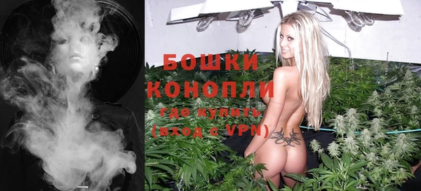 прущие грибы Баксан