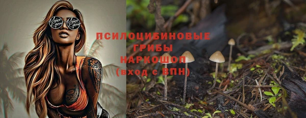 прущие крисы Беломорск